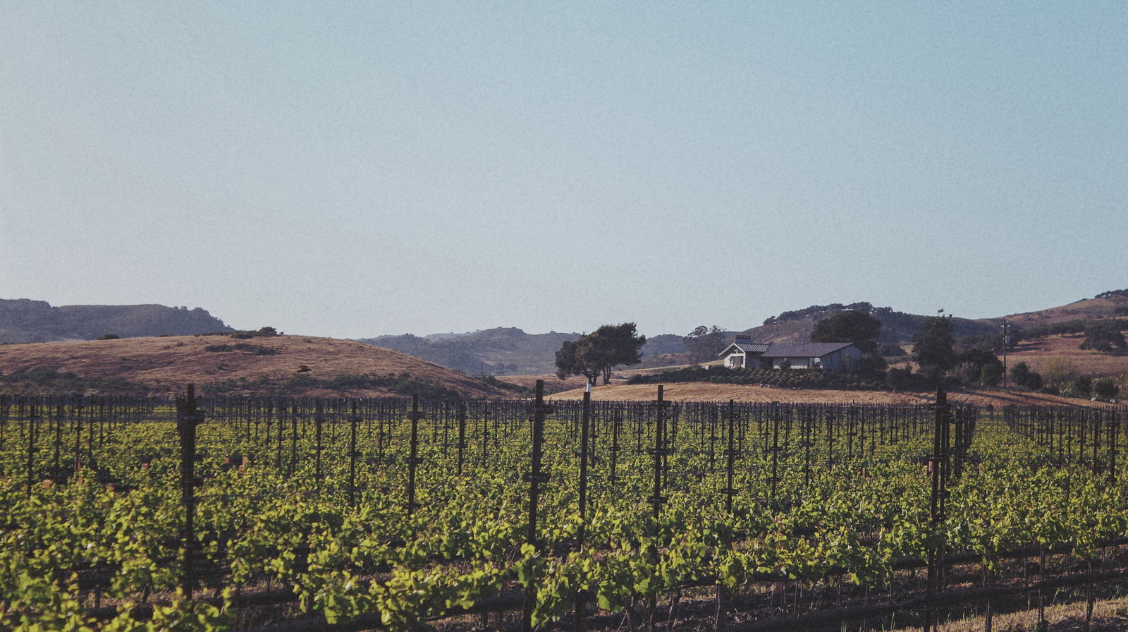 Tyler Winery, Lompoc, United States