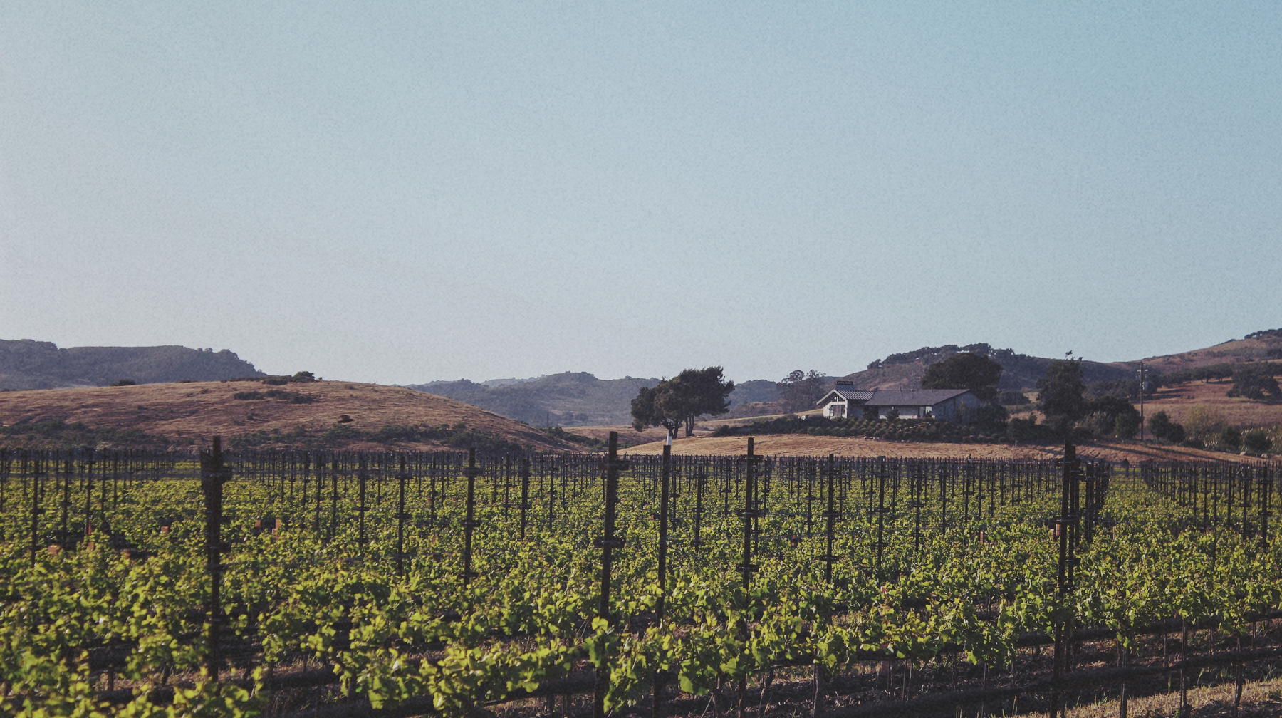 Tyler Winery, Lompoc, United States