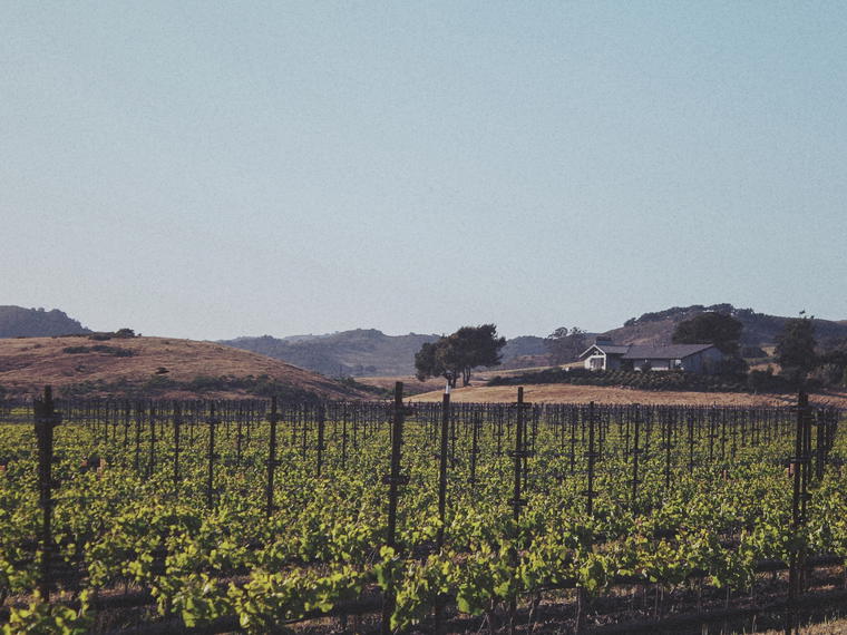 Tyler Winery, Lompoc, United States