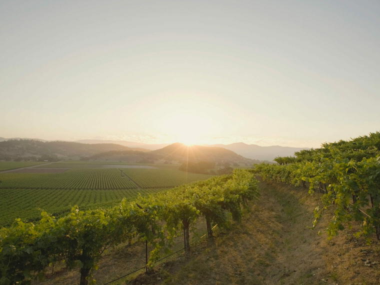 Vine Hill Ranch, Oakville, United States