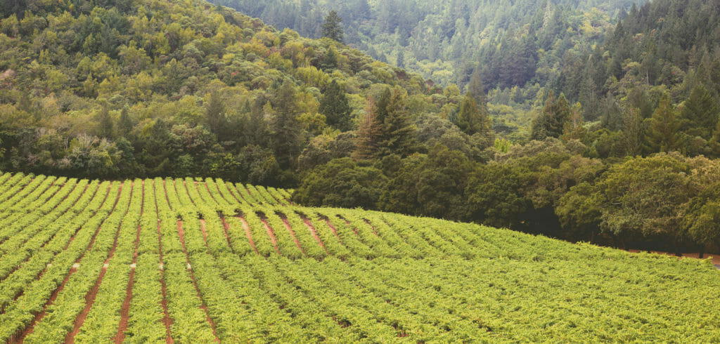 Vine Hill Ranch, Oakville, United States