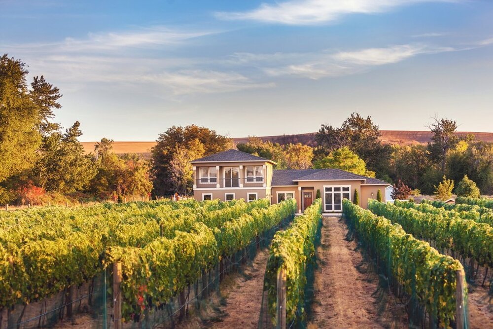 Horsepower Vineyards winery in Walla Walla, United States