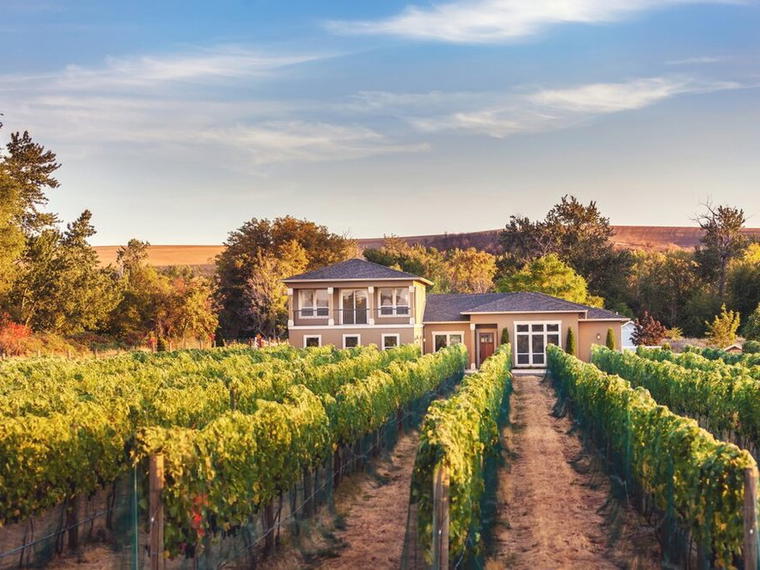 Horsepower Vineyards, Walla Walla, United States