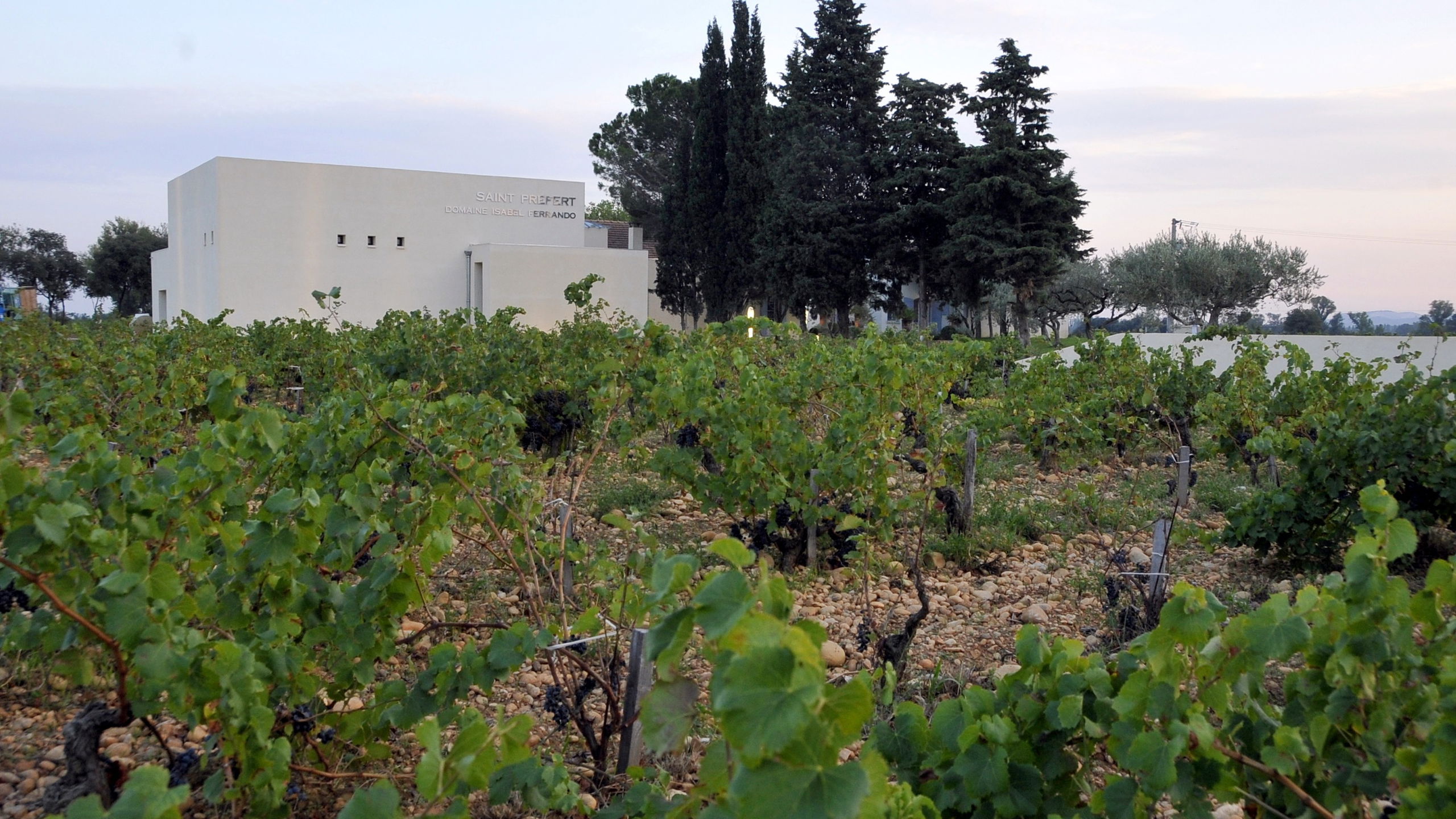 Domaine Saint Préfert, Winery in Châteauneuf-du-Pape