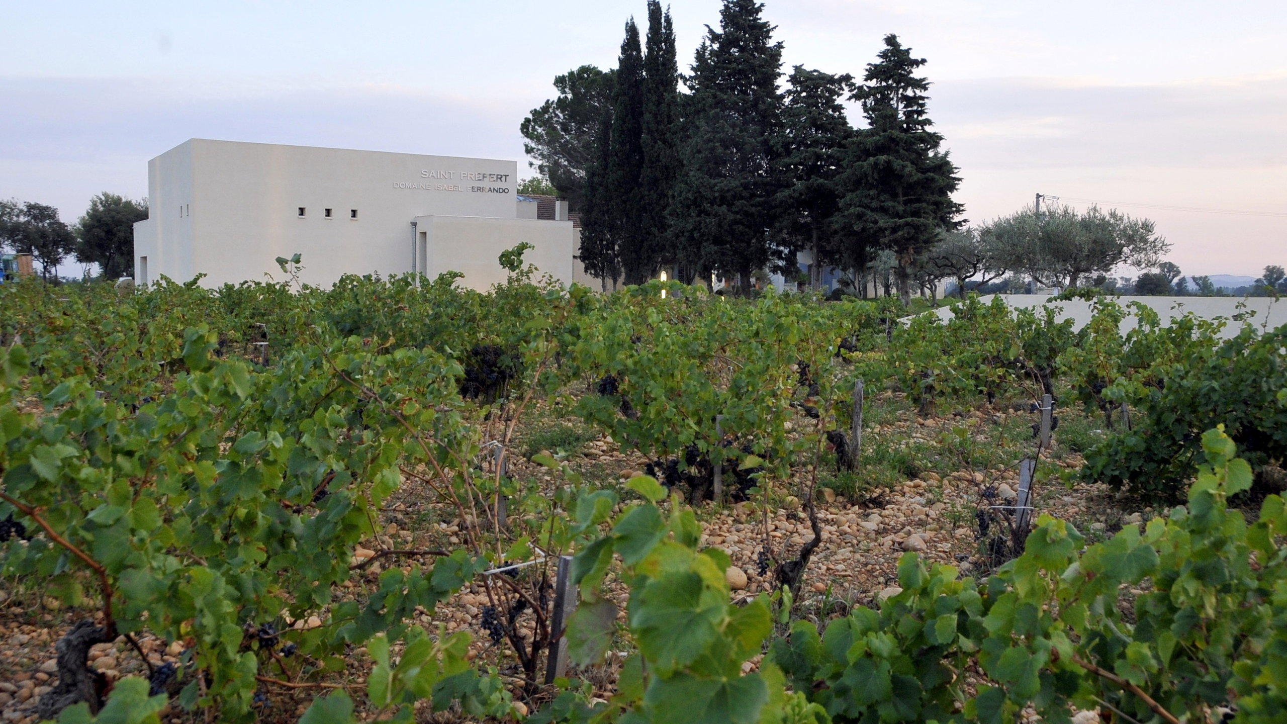 Domaine Saint Préfert, Châteauneuf-du-Pape, France