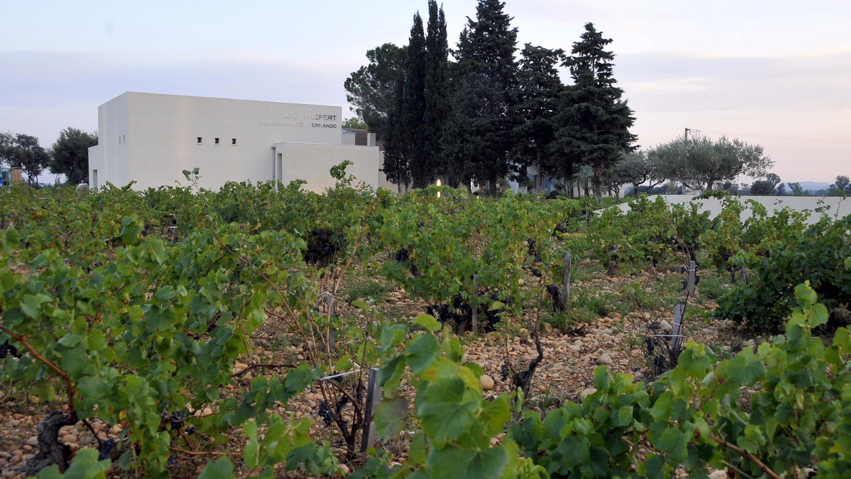 Domaine Saint Préfert winery in Châteauneuf-du-Pape