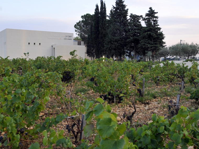 Domaine Saint Préfert, Châteauneuf-du-Pape, France