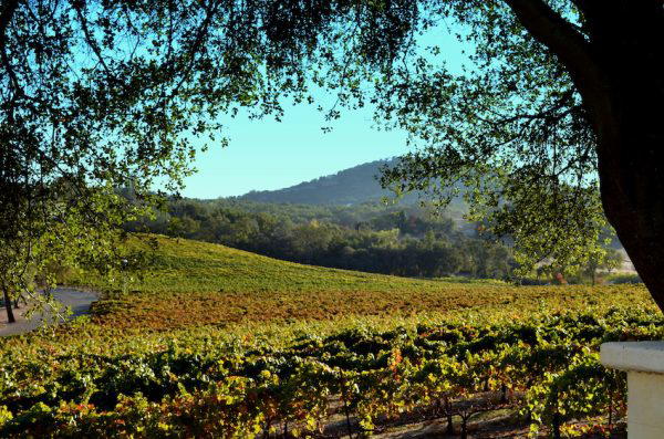 Domaine Saint Préfert winery in Châteauneuf-du-Pape