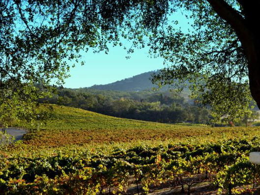 Domaine Saint Préfert, Châteauneuf-du-Pape, France