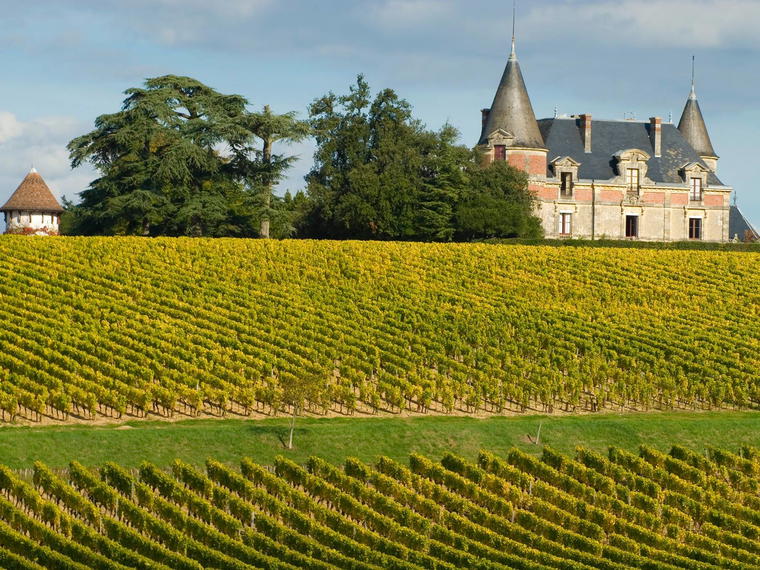 Château de Rayne-Vigneau, Taradeau, France