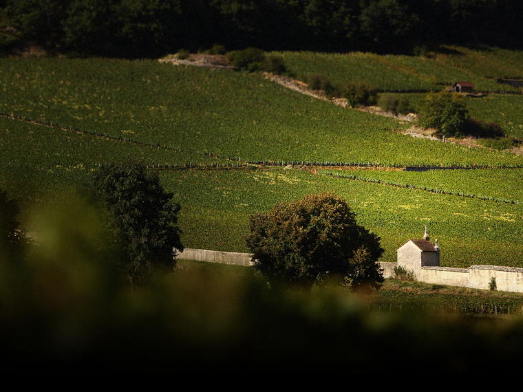 Domaine Armand Rousseau, Gevrey-Chambertin, France