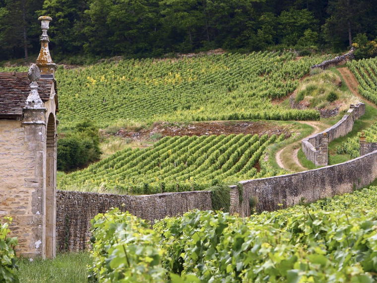 Domaine Armand Rousseau, Gevrey-Chambertin, France