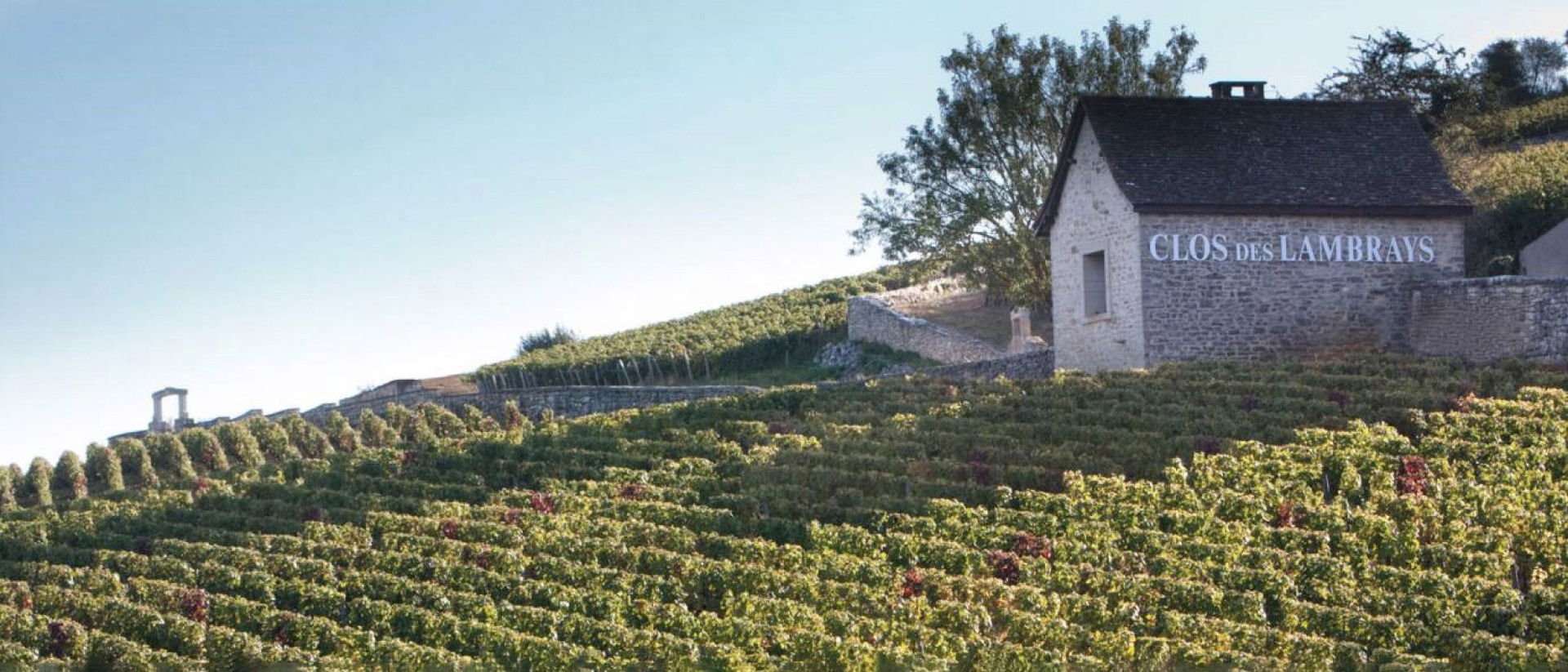 Domaine des Lambrays winery in Morey-Saint-Denis, France