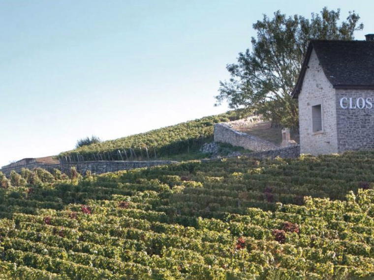 Domaine des Lambrays, Morey-Saint-Denis, France