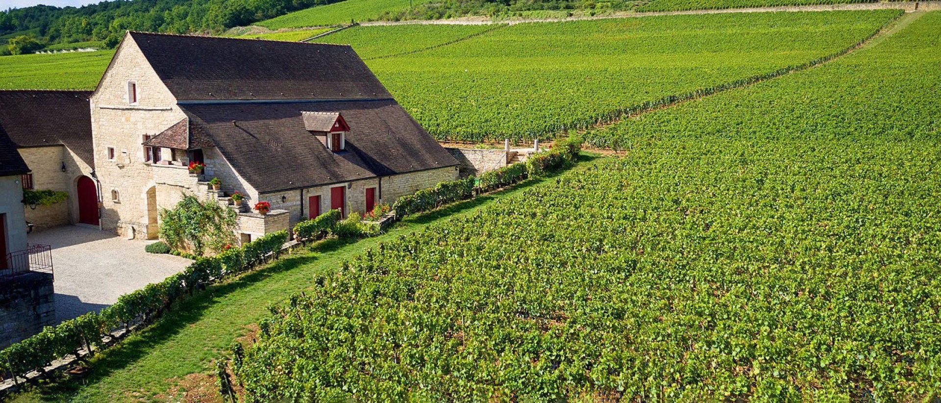 Mommessin, Côte de Nuits, France