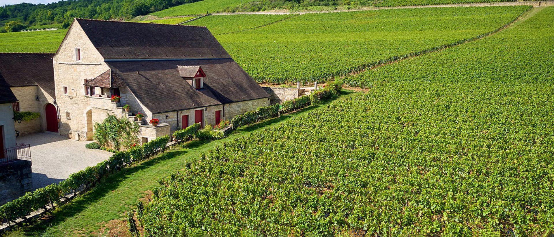 Mommessin, Côte de Nuits, France