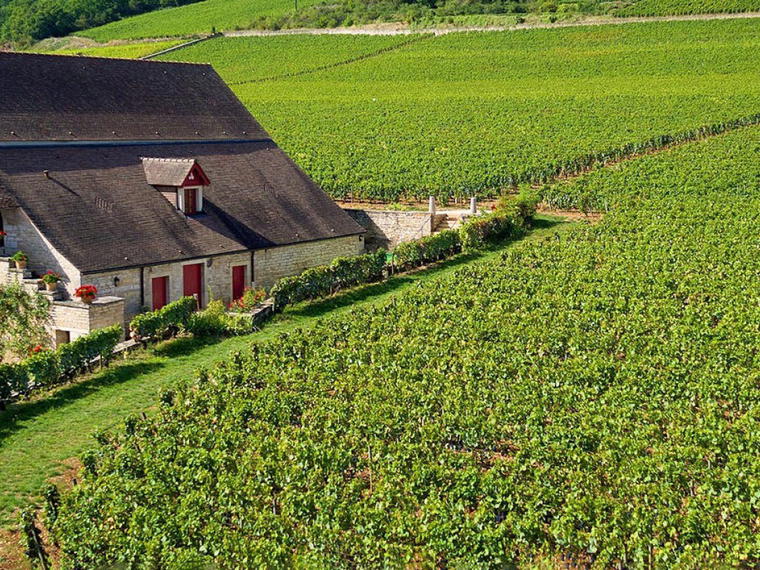 Mommessin, Côte de Nuits, France