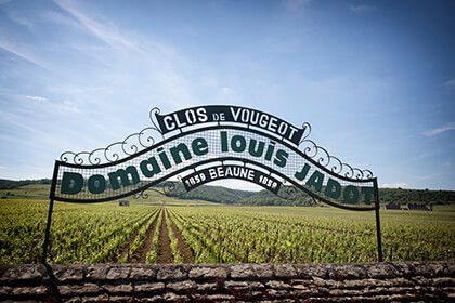Domaine Louis Jadot, Winery in Chapelle-Voland