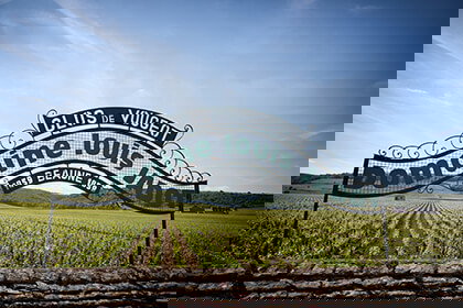 Domaine Louis Jadot winery in Chapelle-Voland, France