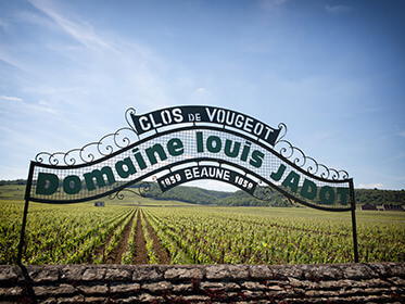 Domaine Louis Jadot, Chapelle-Voland, France
