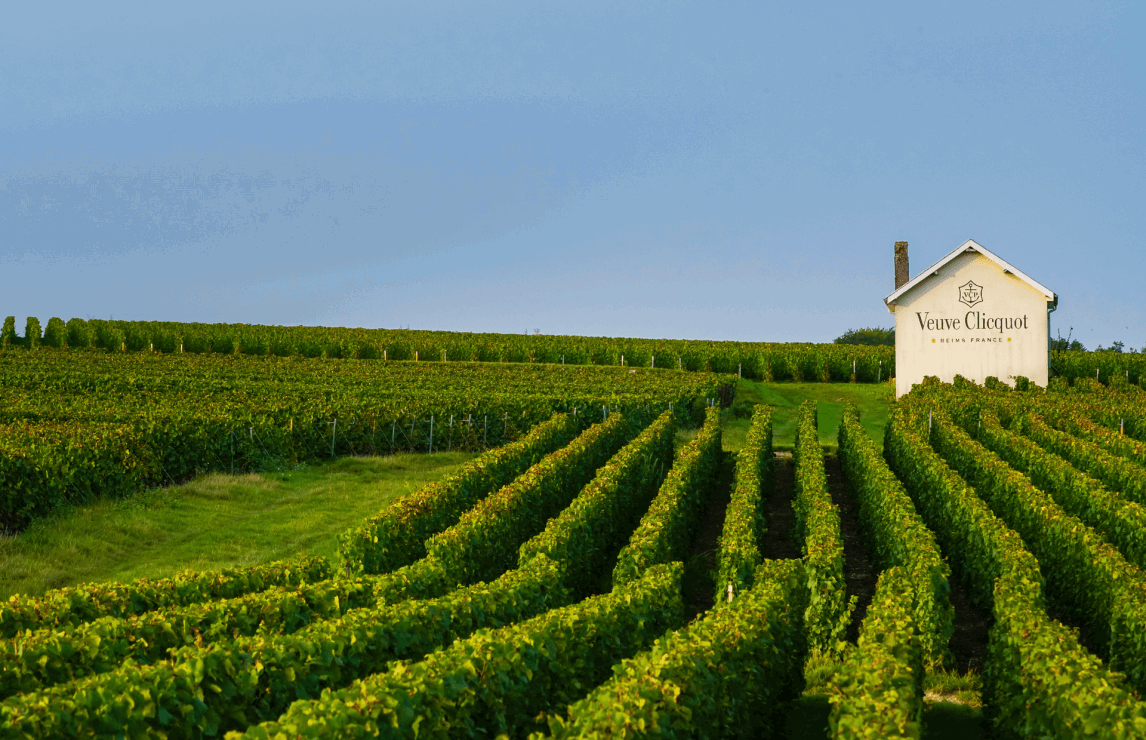 Veuve Clicquot Ponsardin, Winery in Reims