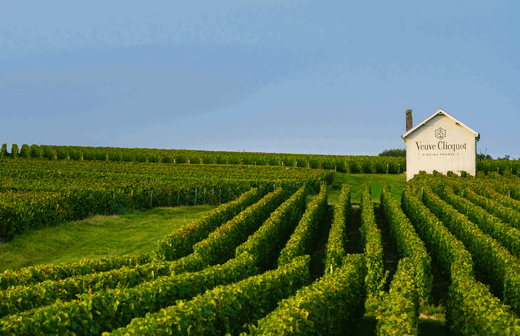 Veuve Clicquot Ponsardin