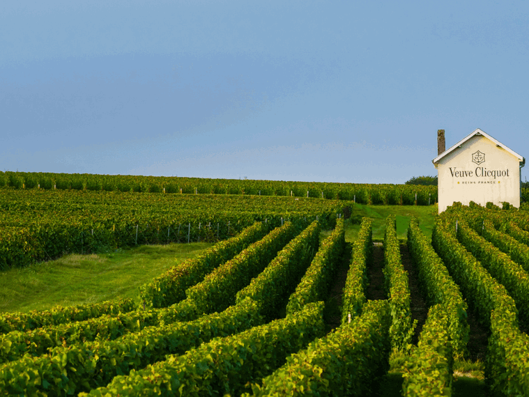 Veuve Clicquot Ponsardin, Reims, France