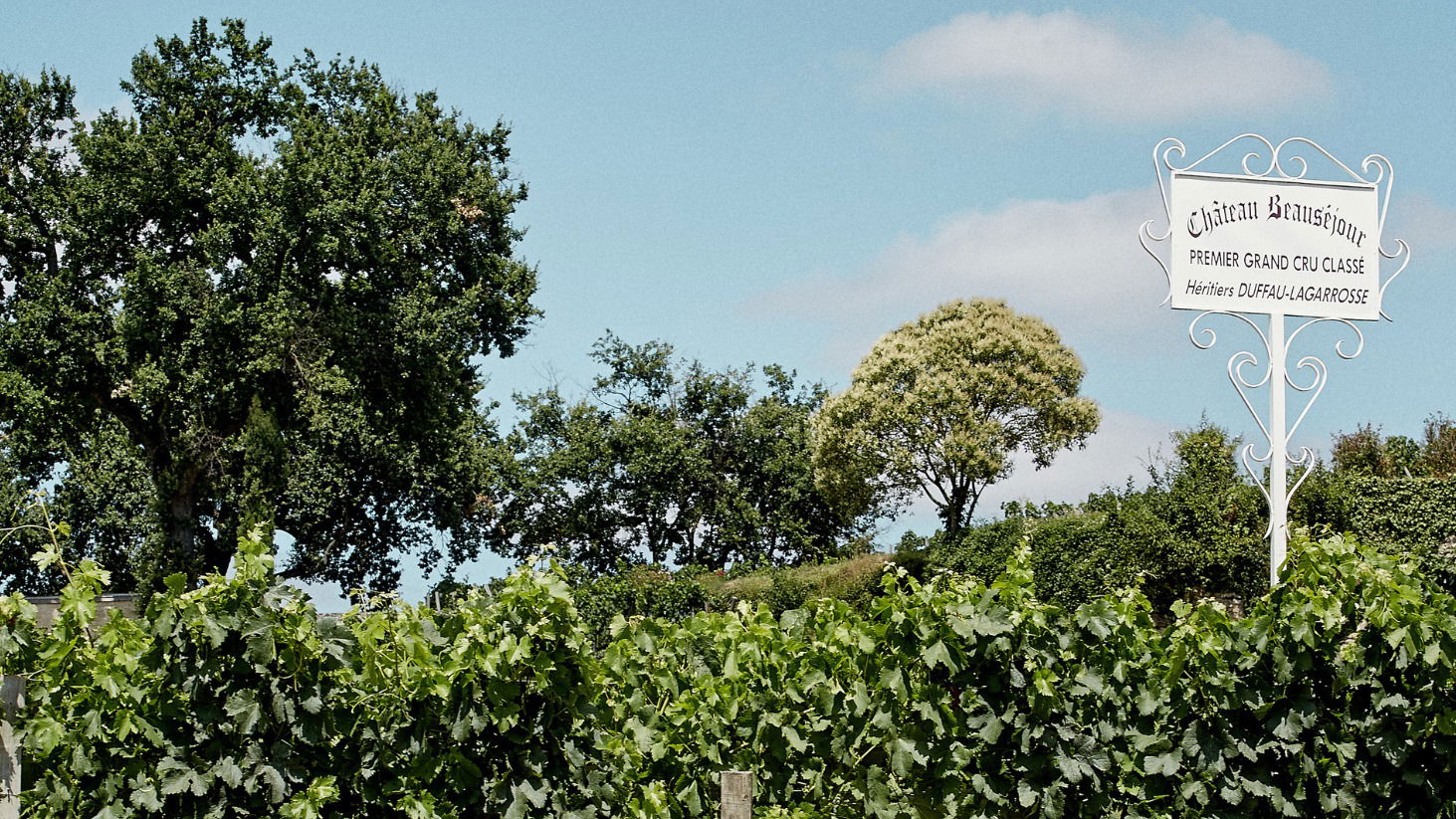 Chateau Beausejour, Winery in Listrac-Médoc