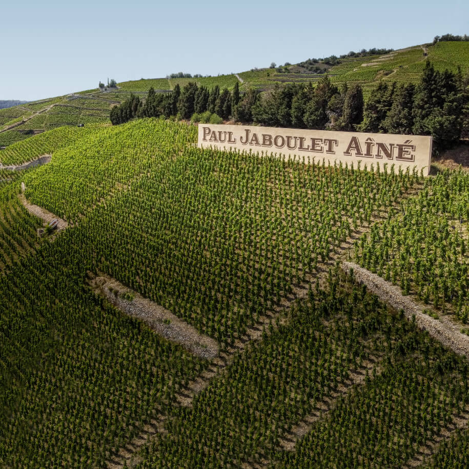 Paul Jaboulet Aîné, Winery in Tain-l'Hermitage