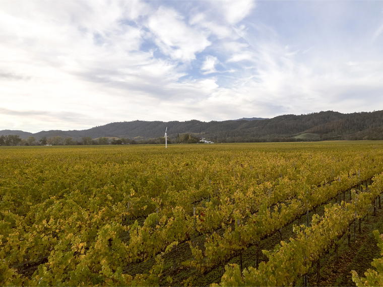 Robert Mondavi Winery, Oakville, United States