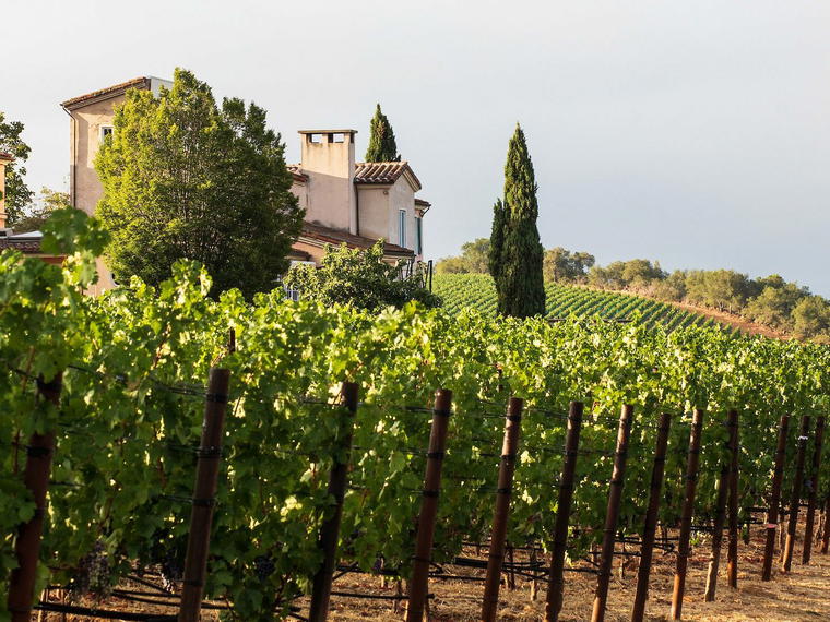 Dalla Valle Vineyards, Napa, United States