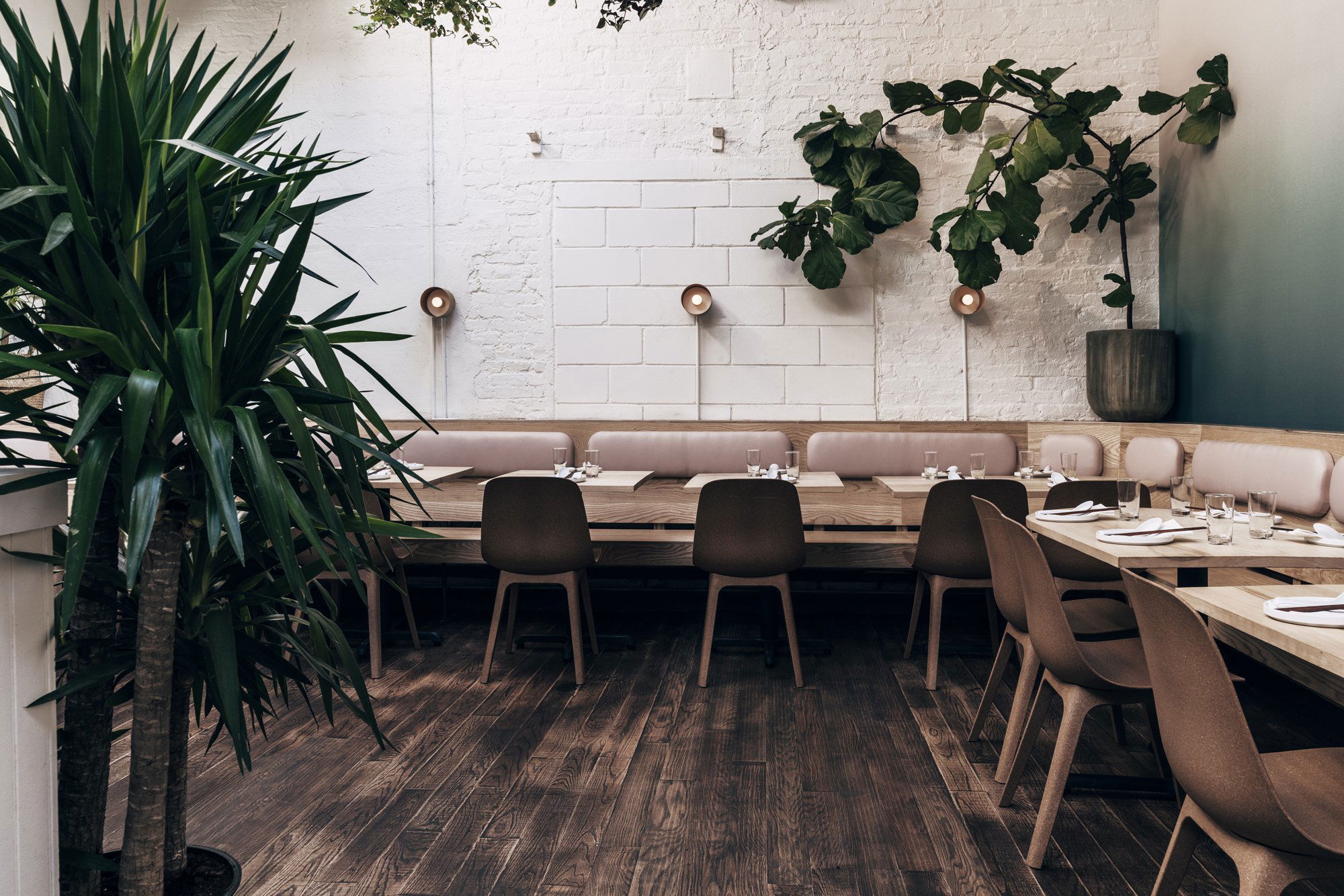 Di An Di restaurant in New York City, United States