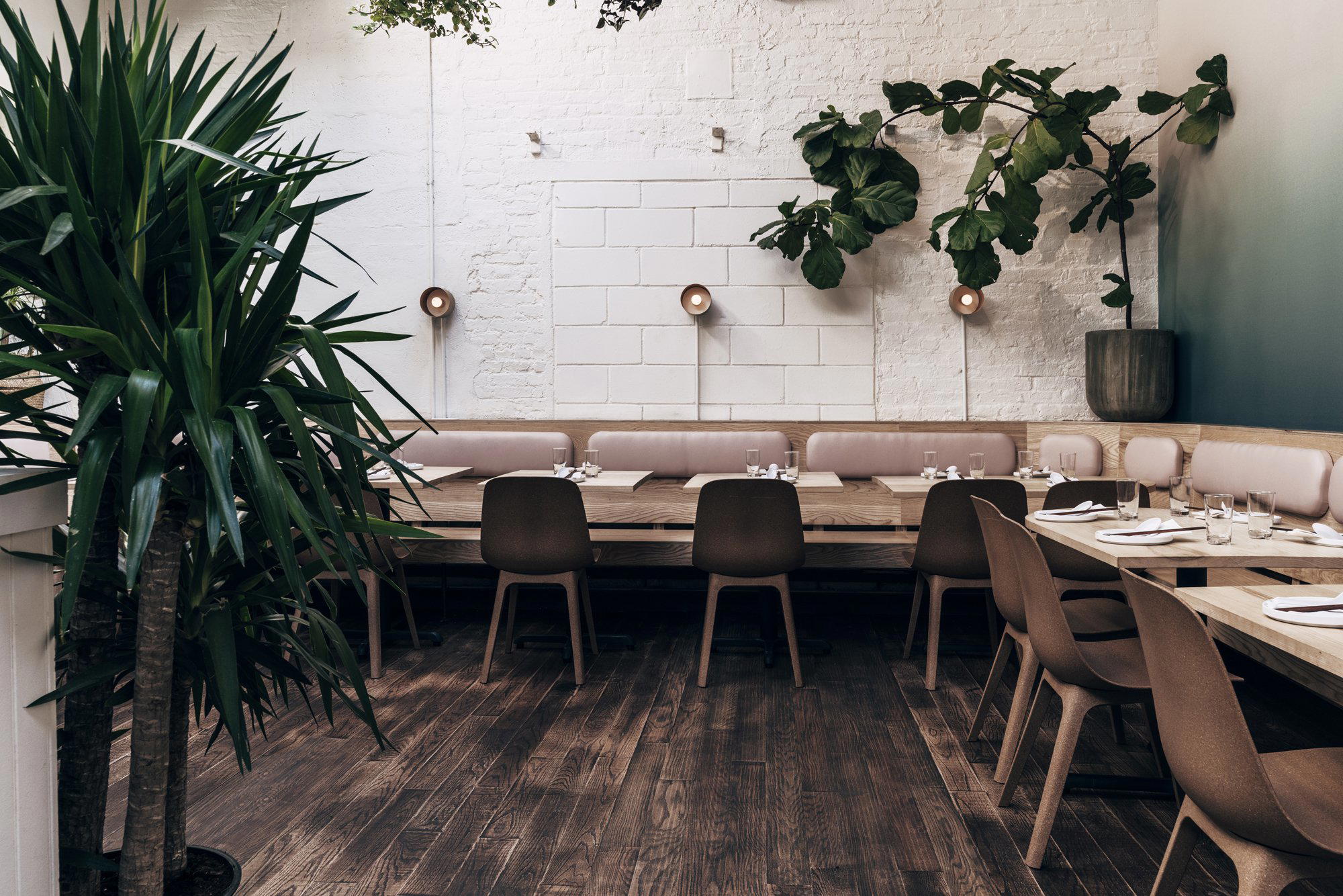 Di An Di, New York City, United States