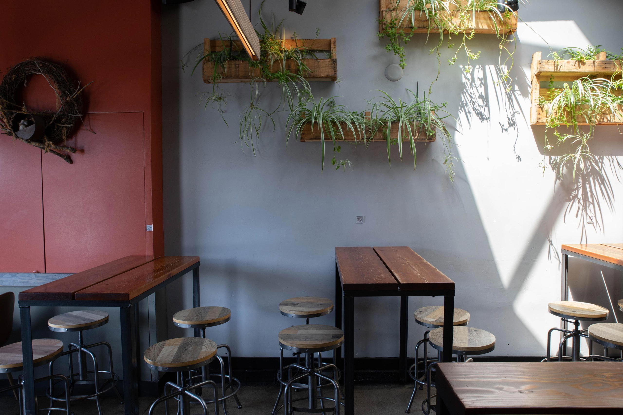 Cellarmaker House of Pizza, San Francisco, United States