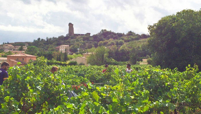 Domaine du Pegau winery in Châteauneuf-du-Pape, France