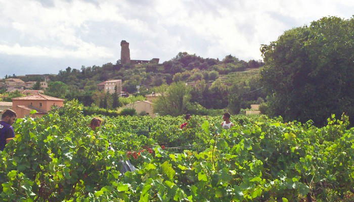 Domaine du Pegau, Châteauneuf-du-Pape, France