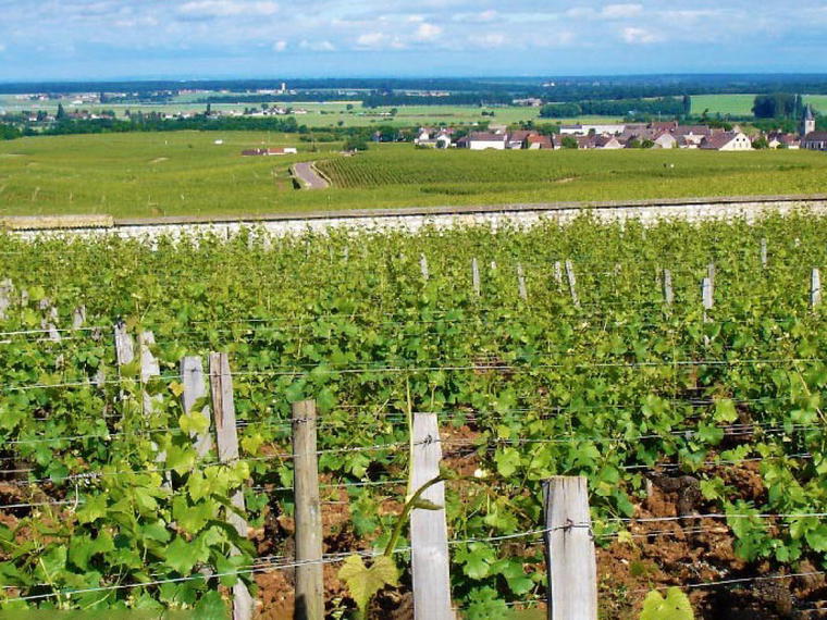 Domaine Méo-Camuzet, Vosne-Romanée, France