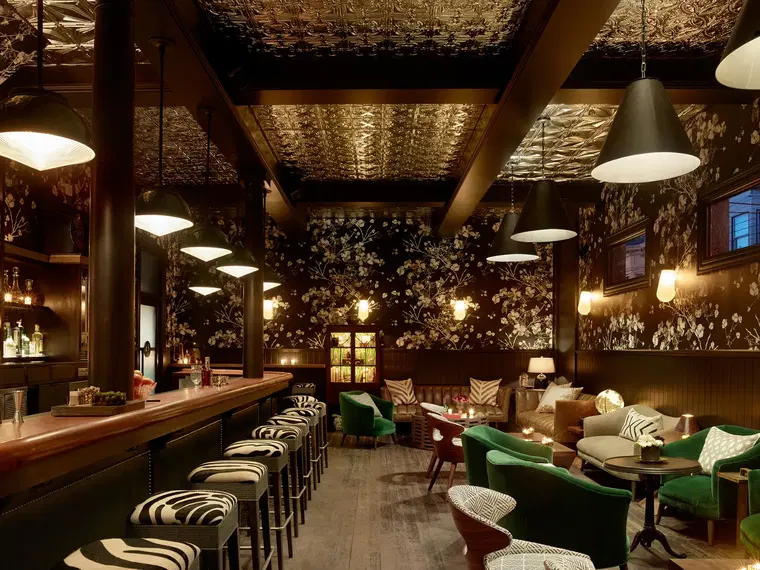 Wildhawk, San Francisco, United States