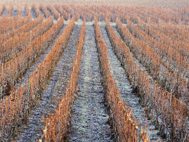Laherte Frères, Blancs-Coteaux, France