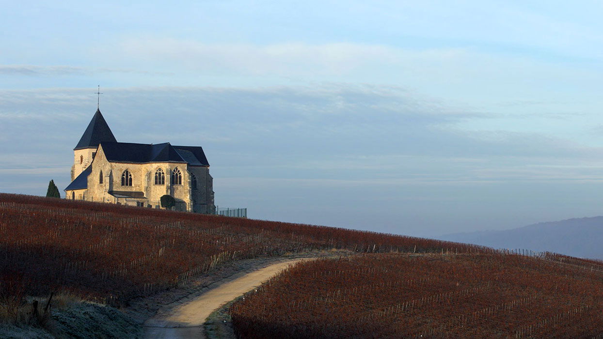 Laherte Frères, Winery in Blancs-Coteaux