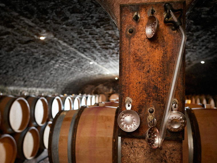 Domaine Trapet Père et Fils, Gevrey-Chambertin, France