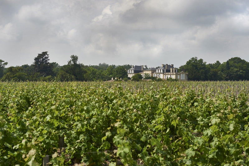 Château Léoville Barton winery in Saint-Julien-Beychevelle