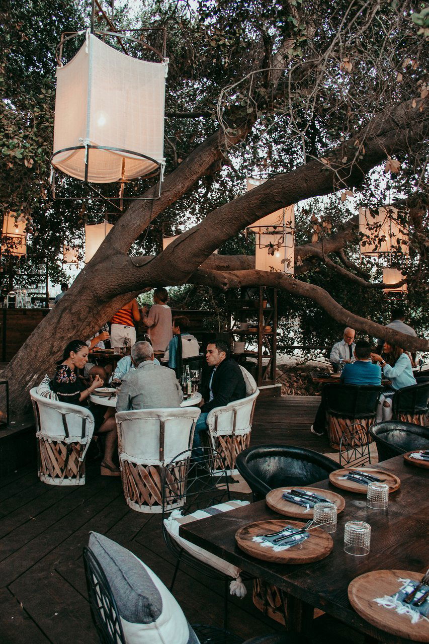 Animalón, Restaurant in Valle de Guadalupe