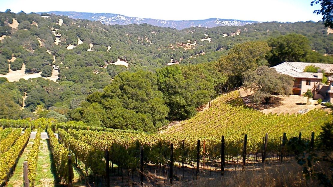 Macdonald winery in Napa, United States