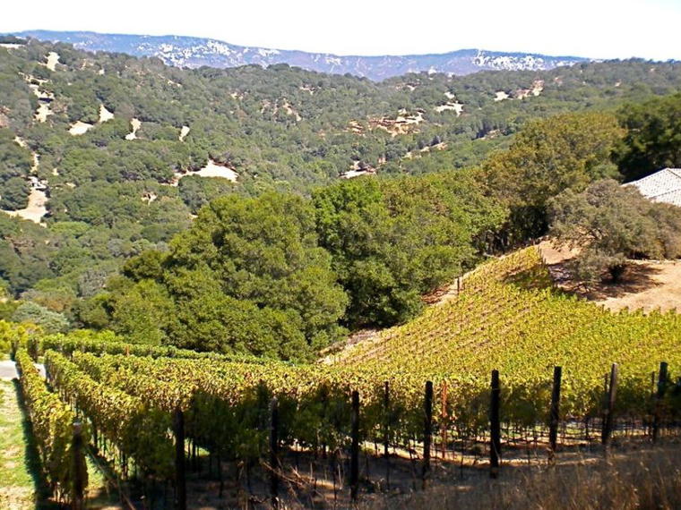 Macdonald, Napa, United States