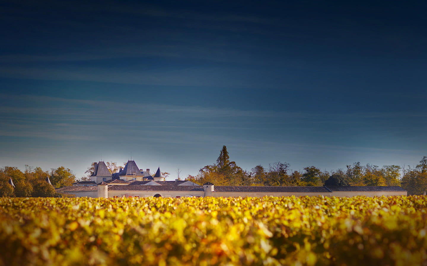 Château Suduiraut winery in Preignac, France