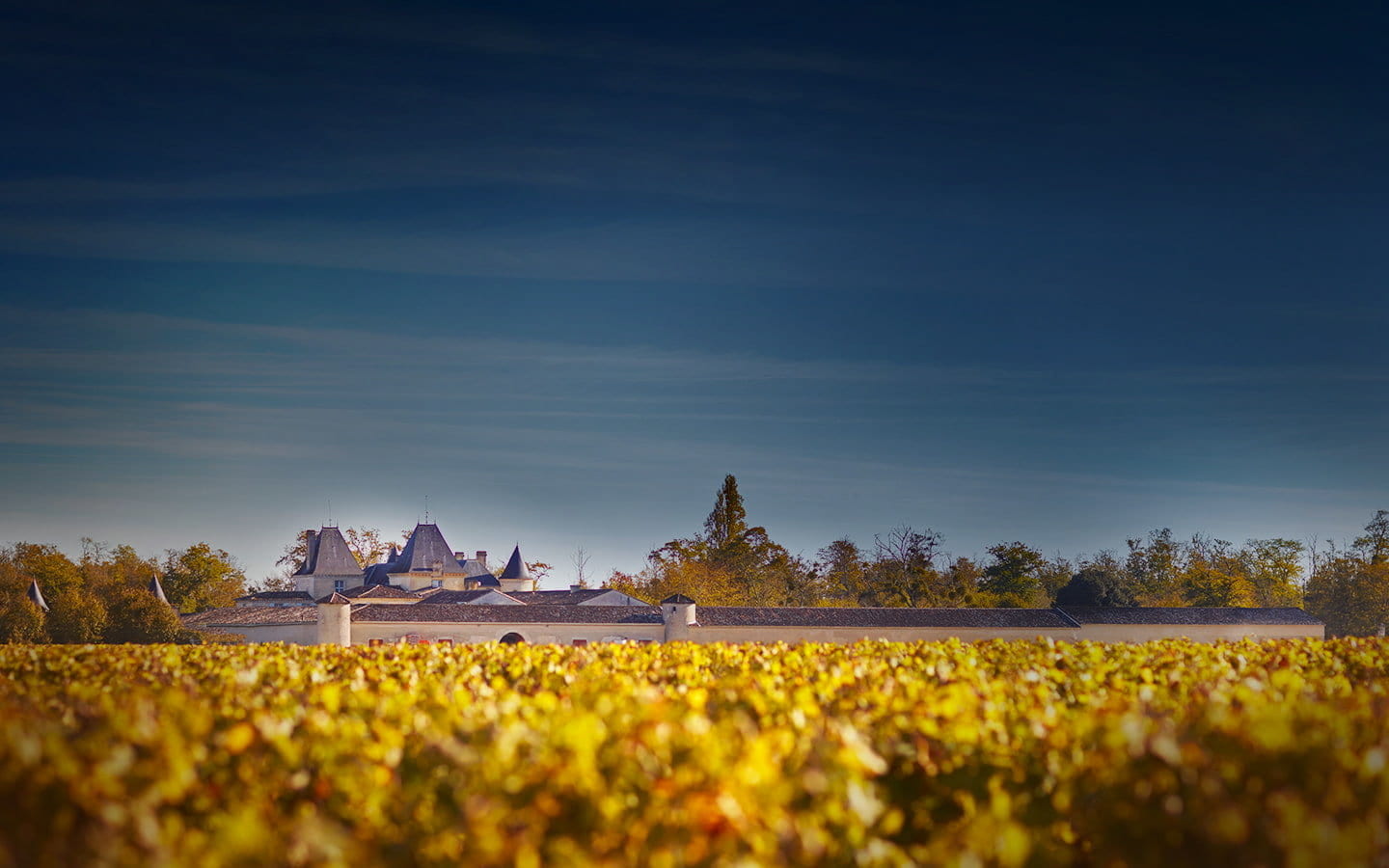 Château Suduiraut