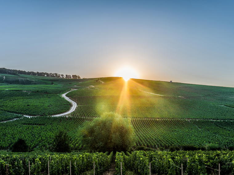 Charles Heidsieck, Reims, France