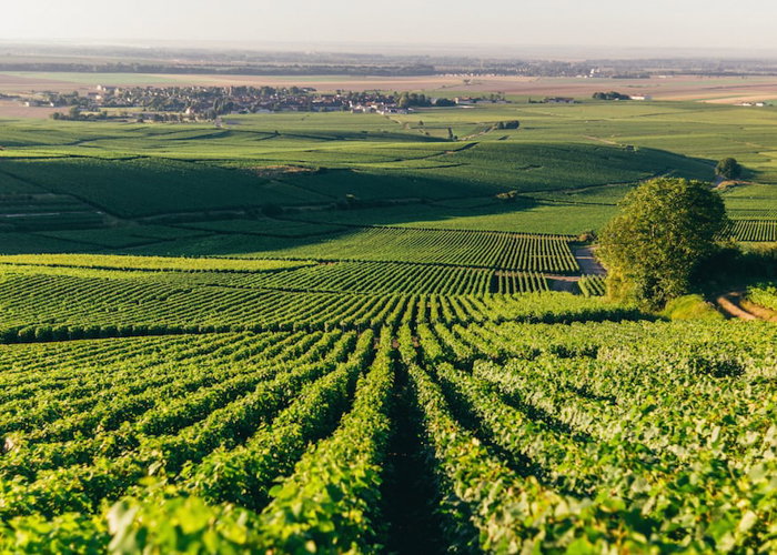 Charles Heidsieck winery in Reims, France