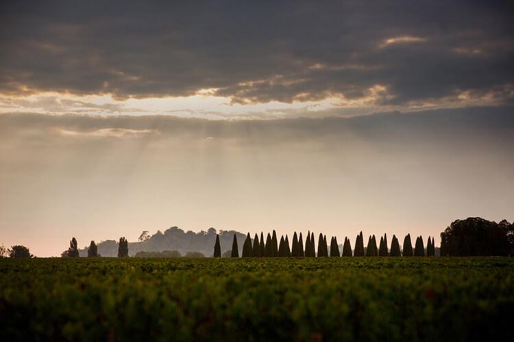 Château Trotanoy winery in Pomerol, France